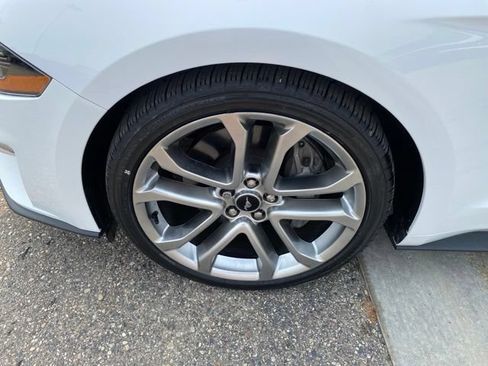 Used 2019 Ford Mustang GT Premium w/ Equipment Group 401A RWD image 11
