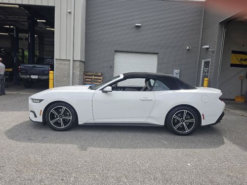 Used 2024 Ford Mustang Premium RWD image 12