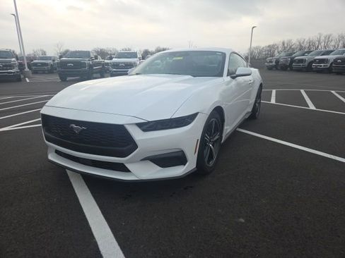 Used 2025 Ford Mustang Premium RWD image 2