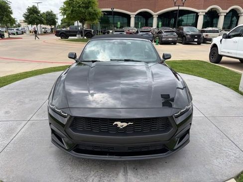 Used 2024 Ford Mustang Premium image 2
