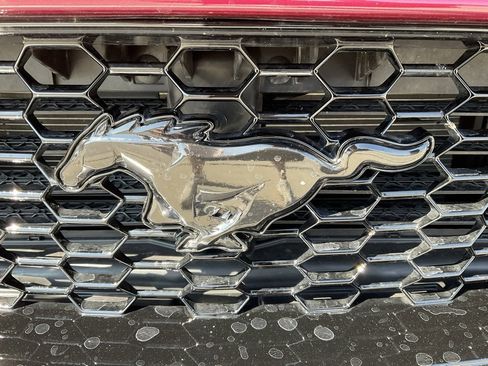 Used 2025 Ford Mustang GT Premium image 21