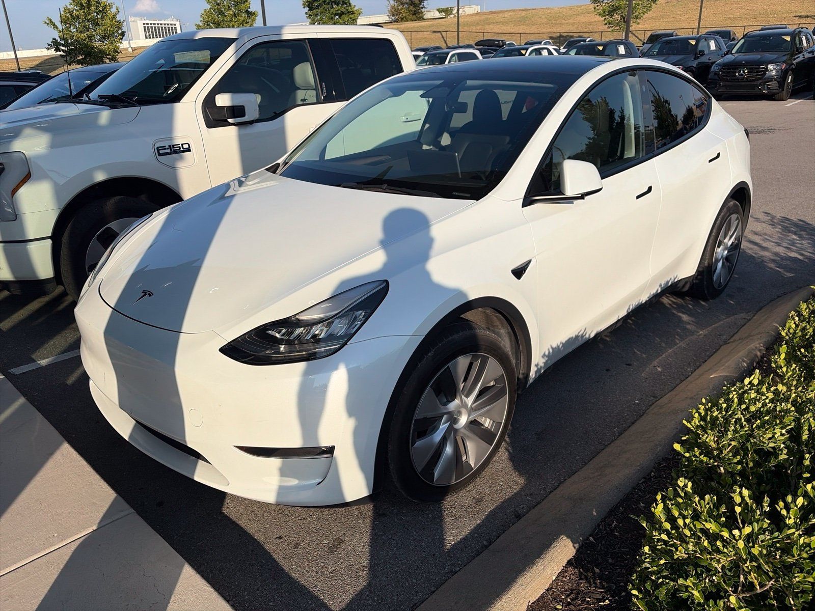Used 2023 Tesla Model Y Long Range AWD/4WD image 3