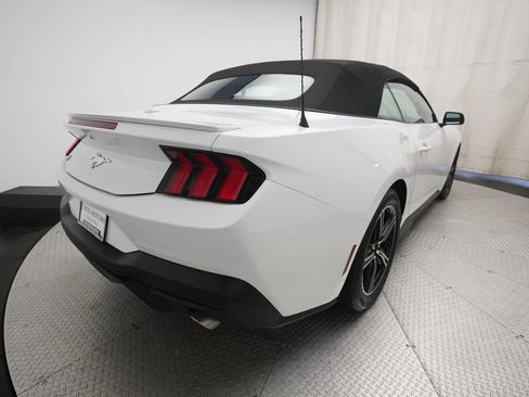Used 2025 Ford Mustang Premium RWD image 13