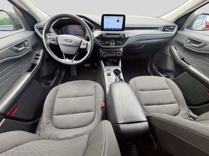 Used 2024 Ford Escape Active