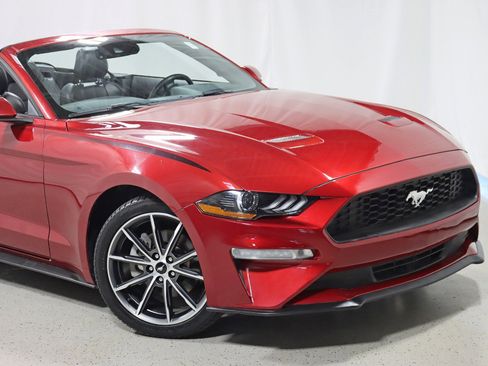 Used 2019 Ford Mustang Premium w/ Equipment Group 201A image 3