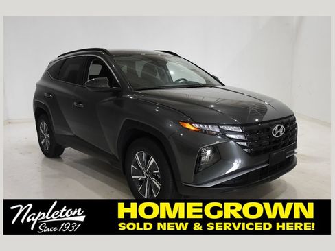 Used 2024 Hyundai Tucson Blue AWD/4WD image 1