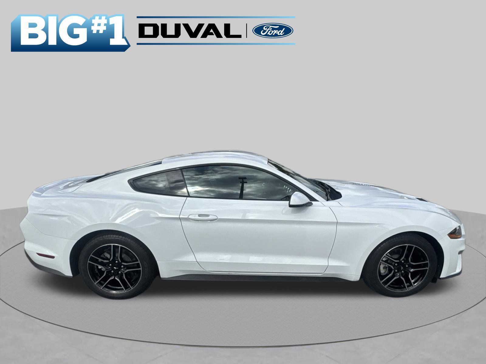 Used 2019 Ford Mustang Premium w/ Equipment Group 201A RWD image 2