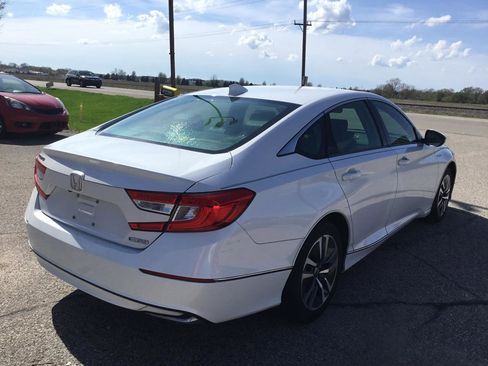Used 2019 Honda Accord EX-L image 6