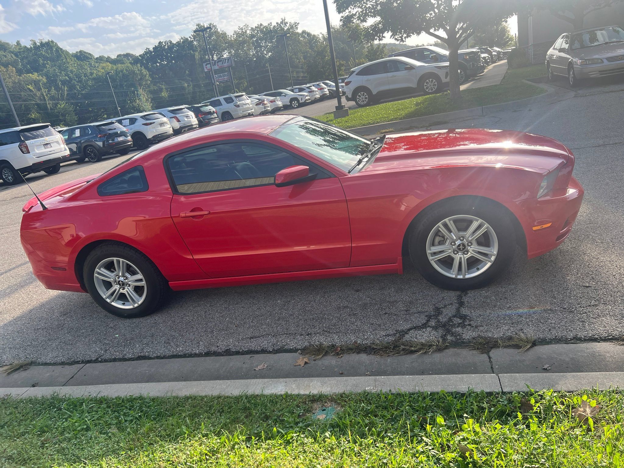 Used 2014 Ford Mustang Premium w/ Equipment Group 201A RWD image 4