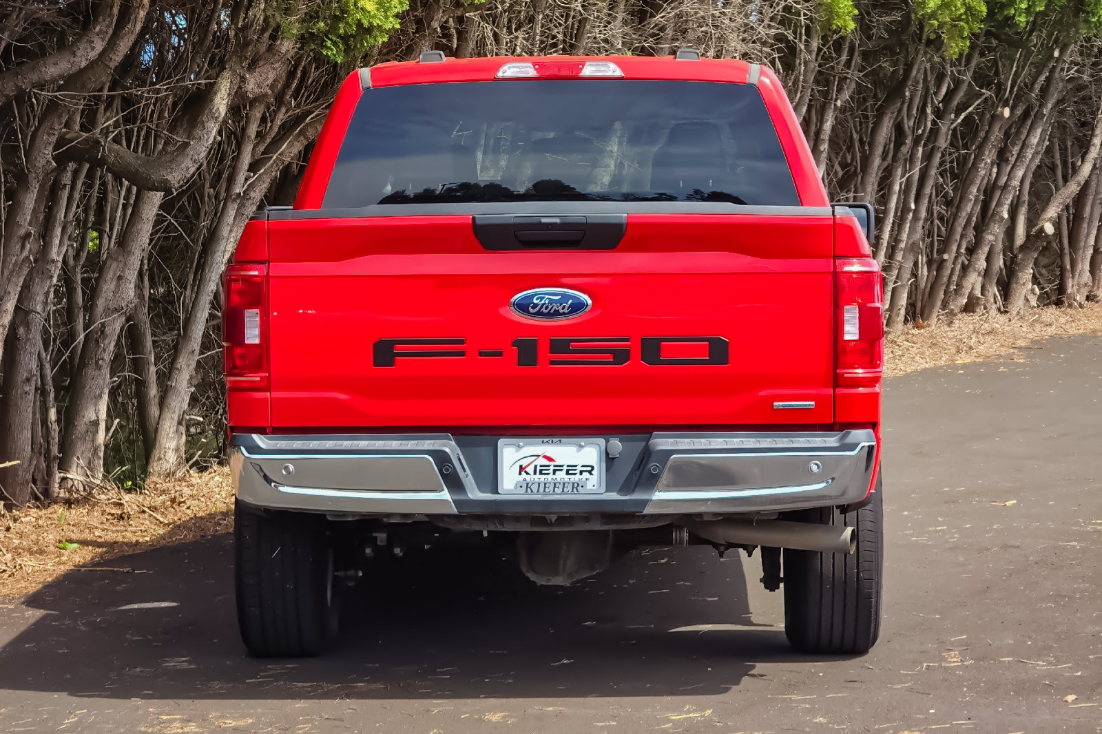 Used 2023 Ford F150 XLT AWD/4WD image 4
