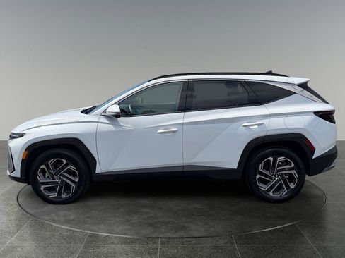 Used 2025 Hyundai Tucson Limited AWD/4WD image 6