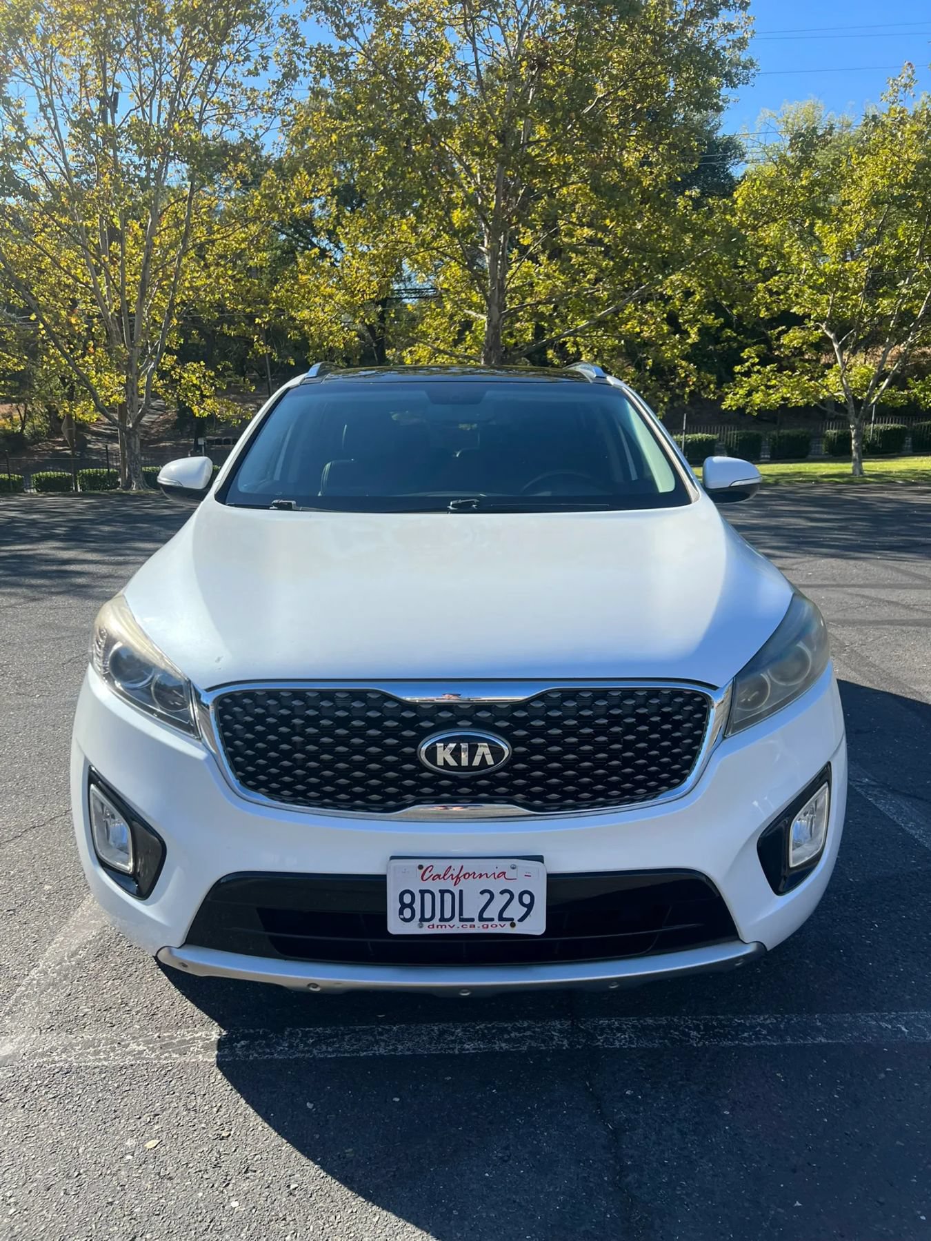 Used 2016 Kia Sorento SX FWD image 2