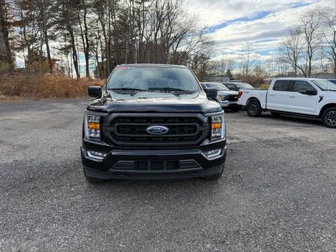 Used 2023 Ford F150 XLT w/ Equipment Group 302A High image 8