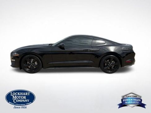 Used 2023 Ford Mustang GT Premium w/ Equipment Group 401A RWD image 4