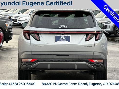 Used 2024 Hyundai Tucson Limited image 4