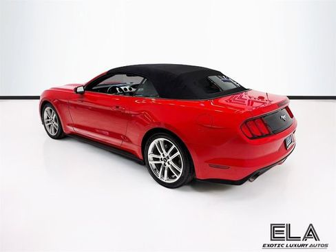 Used 2017 Ford Mustang Premium w/ Equipment Group 201A image 5