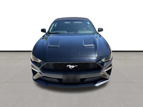 Used 2019 Ford Mustang Premium RWD image 2