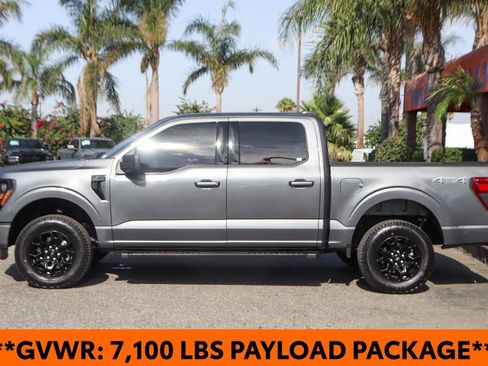 Used 2025 Ford F150 XLT w/ Equipment Group 301A Standard AWD/4WD image 5