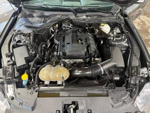 Used 2019 Ford Mustang Premium w/ Equipment Group 201A RWD image 25