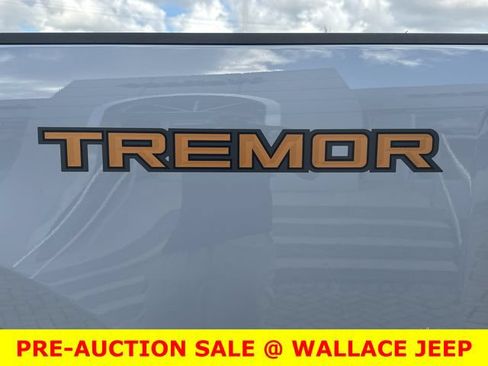 Used 2024 Ford F350 Platinum w/ Tremor Off-Road Package AWD/4WD image 15