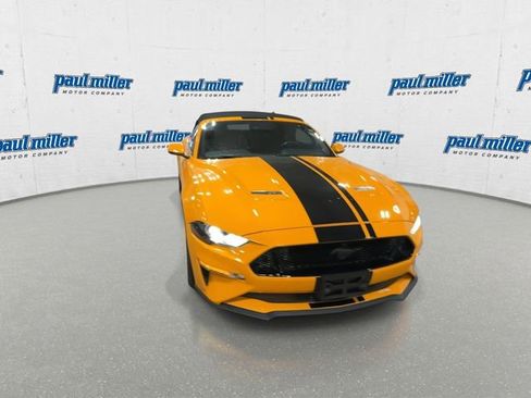 Used 2019 Ford Mustang GT Premium w/ Equipment Group 401A image 3