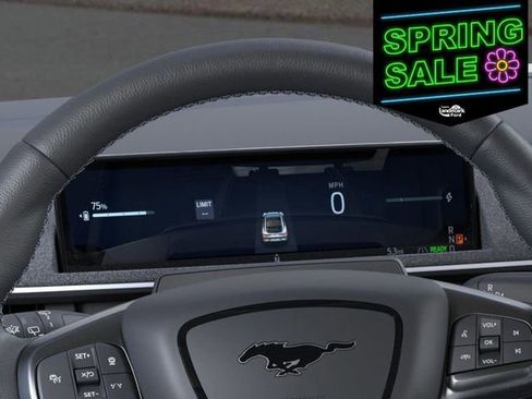 New 2025 Ford Mustang Mach-E GT w/ Interior Protection Package image 13