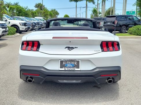 New 2026 Ford Mustang Convertible w/ Mustang Nite Pony Package RWD image 8