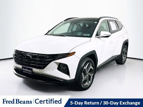 Used 2024 Hyundai Tucson Limited image 3