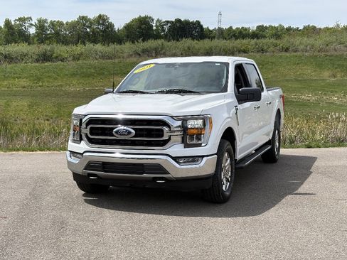 Used 2021 Ford F150 XLT w/ Equipment Group 302A High AWD/4WD image 1