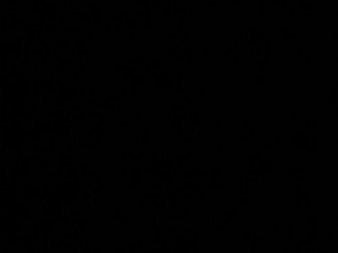 New 2025 Audi SQ5 Premium Plus image 19