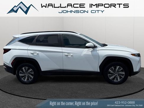 Used 2024 Hyundai Tucson Blue AWD/4WD image 6
