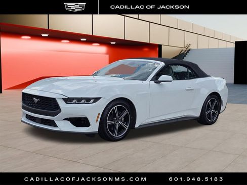 Used 2024 Ford Mustang Premium RWD image 1