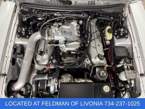 Used 2003 Ford Mustang Cobra image 3