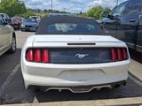 Used 2017 Ford Mustang Premium image 4