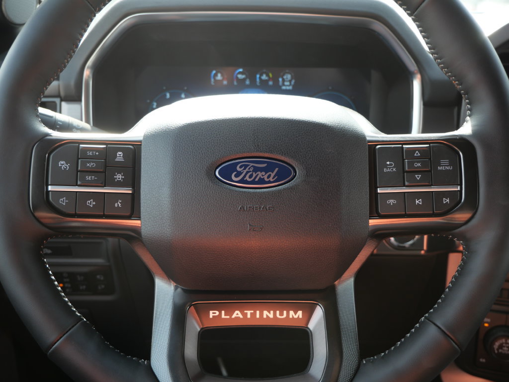 New 2026 Ford F150 Platinum w/ Equipment Group 701A Standard AWD/4WD image 24