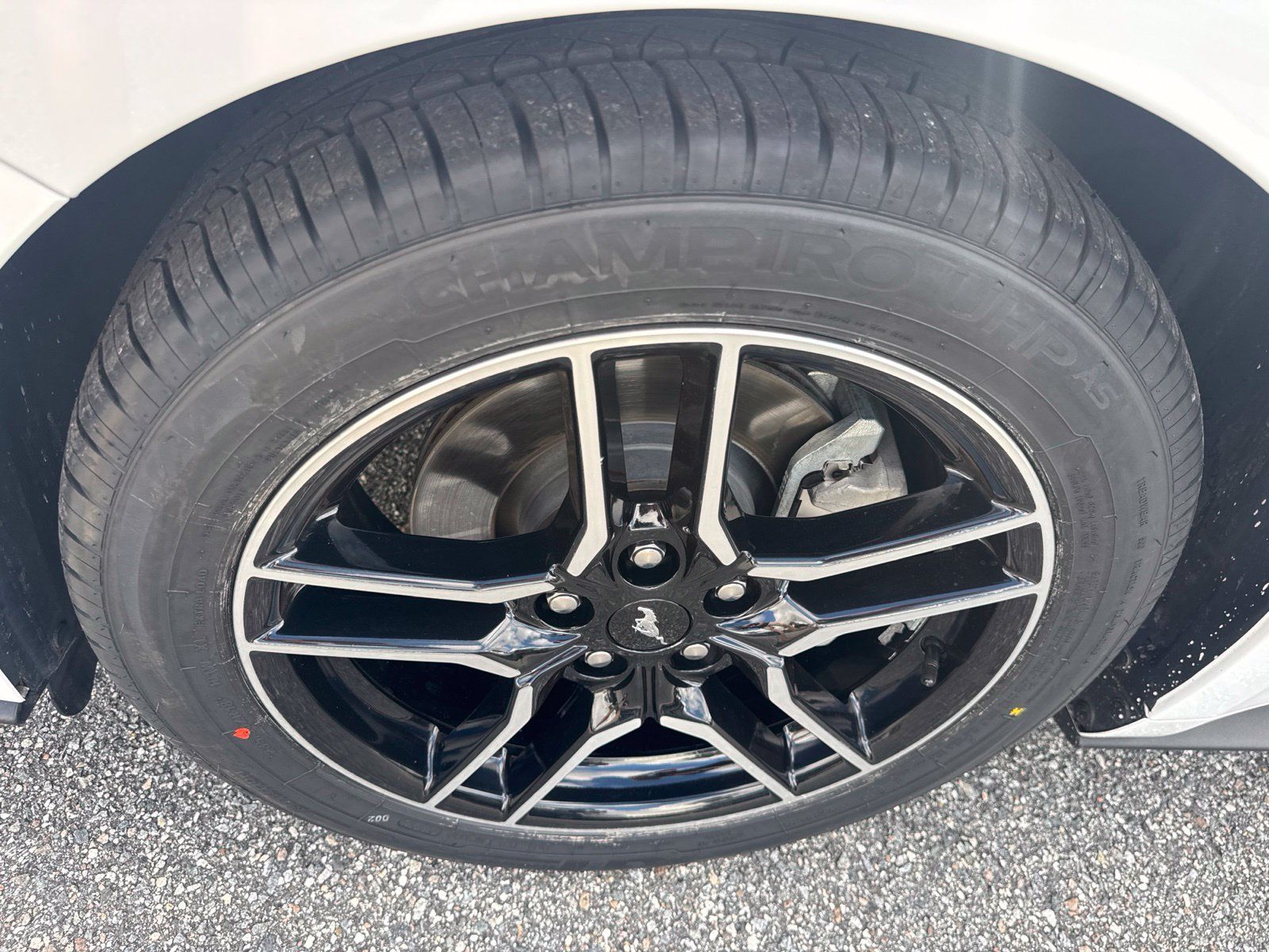 Used 2019 Ford Mustang Premium w/ Equipment Group 201A RWD image 11