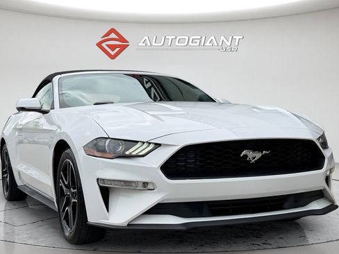 Used 2019 Ford Mustang Premium RWD image 14