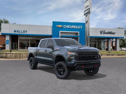 New 2026 Chevrolet Silverado 1500 Custom Trail Boss