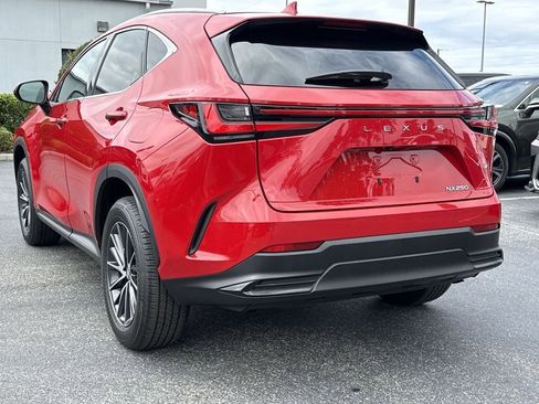 Used 2024 Lexus NX 250 FWD image 10