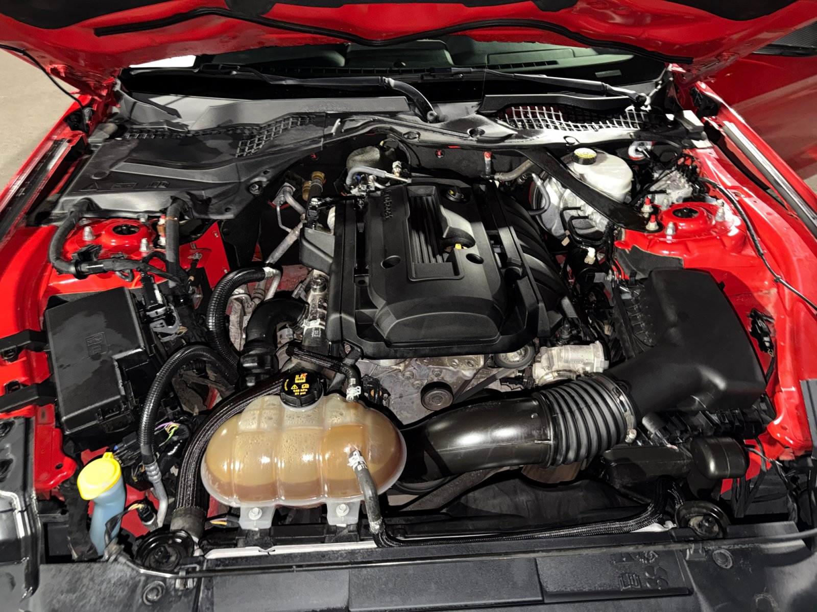 Used 2019 Ford Mustang Premium RWD image 32