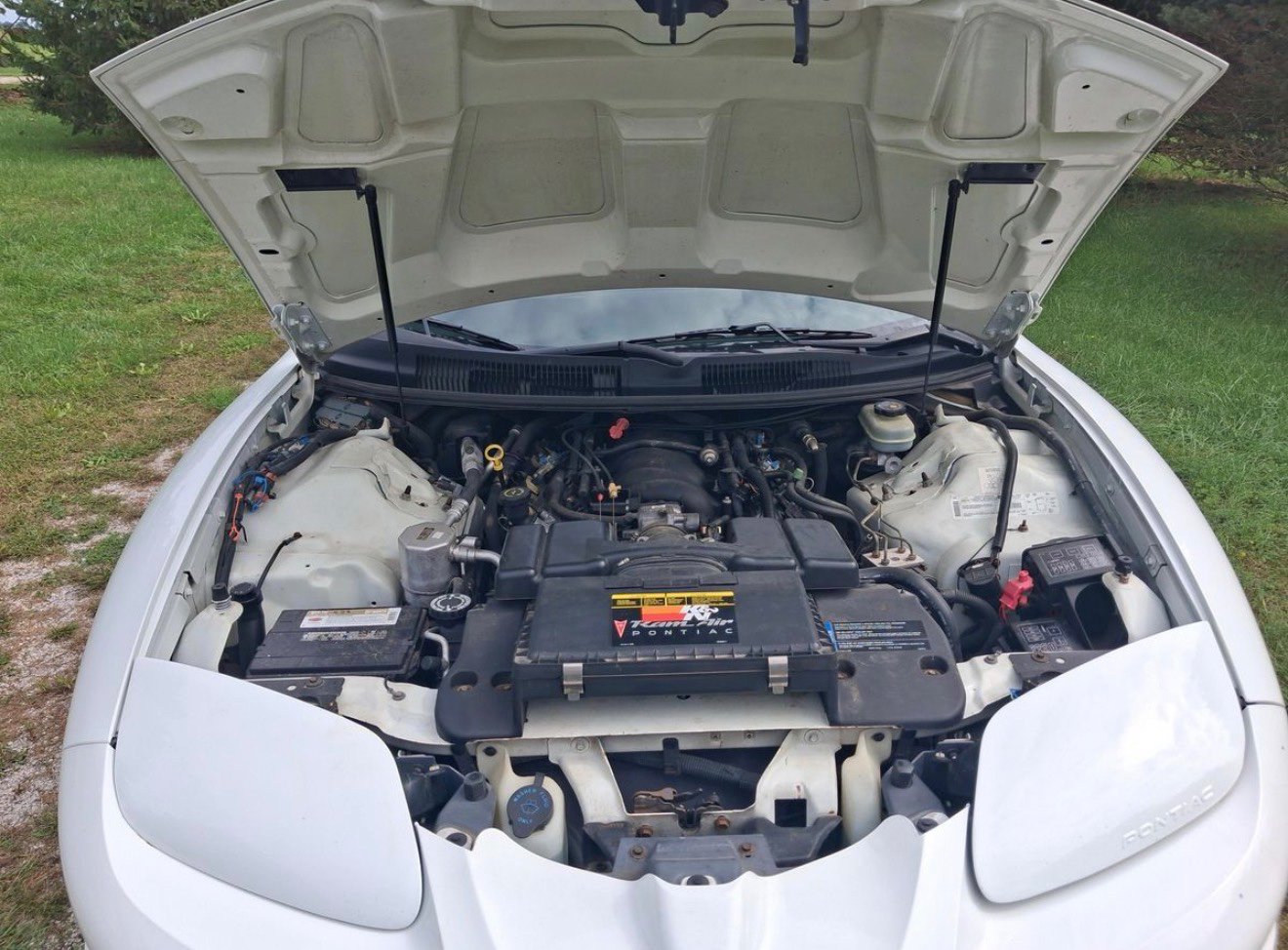 Used 2001 Pontiac Firebird Trans Am RWD image 9