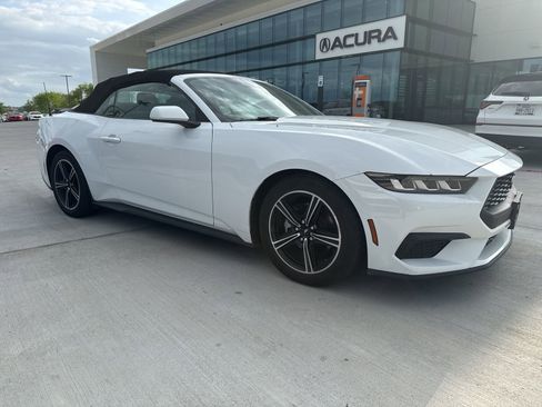 Used 2024 Ford Mustang Premium image 1