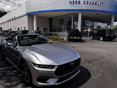 Used 2024 Ford Mustang Premium RWD image 1