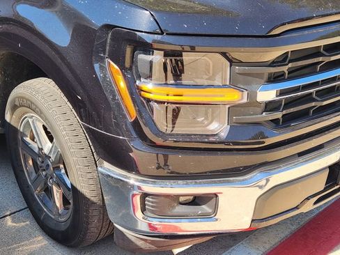 Used 2025 Ford F150 XLT w/ Equipment Group 301A Standard RWD image 5