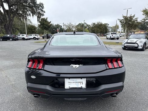 Used 2024 Ford Mustang EcoBoost image 4