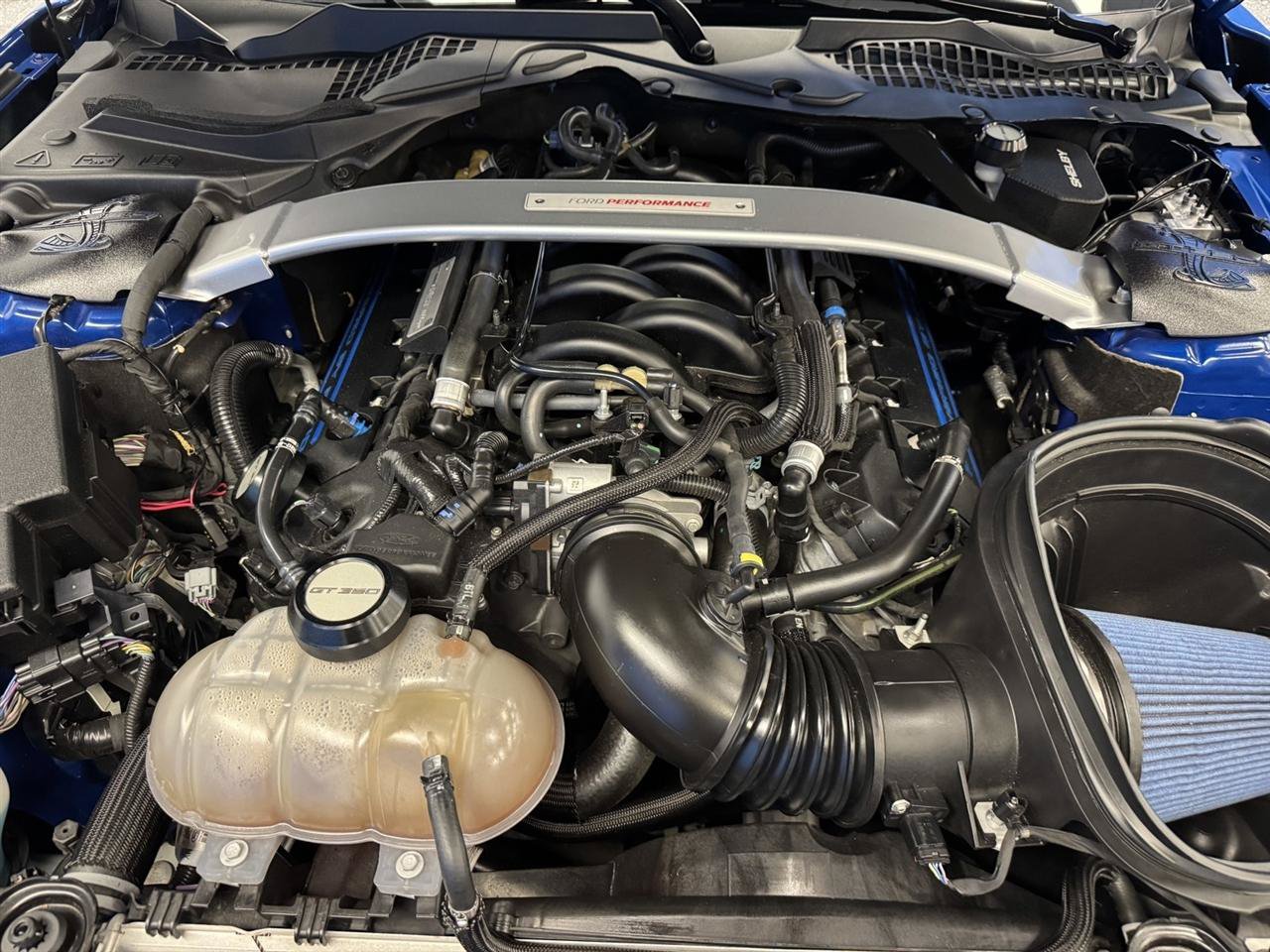 Used 2017 Ford Mustang Shelby GT350 RWD image 22