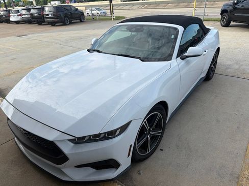 Used 2024 Ford Mustang Premium RWD image 1