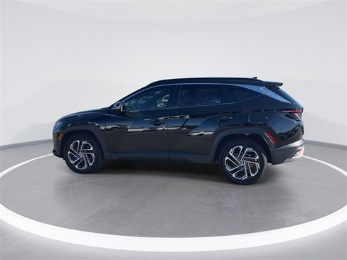 Certified 2025 Hyundai Tucson Limited image 5
