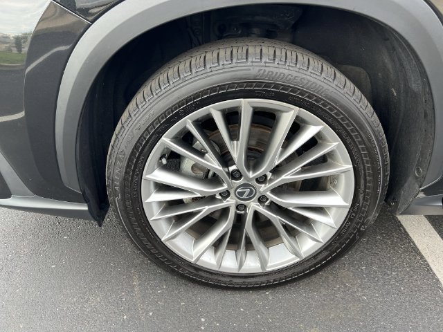 Certified 2025 Lexus NX 350h AWD w/ Cold Area Package image 8