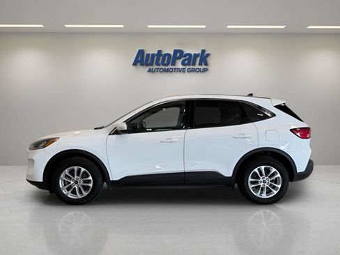 Used 2020 Ford Escape SE AWD/4WD image 4